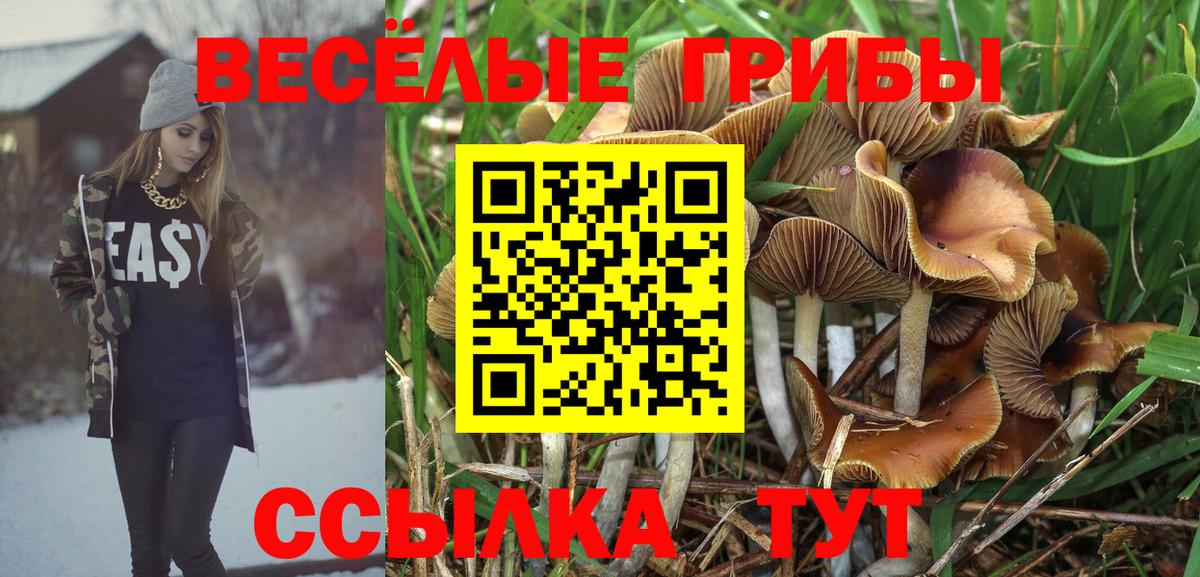 Псилоцибиновые грибы Psilocybine cubensis  Вход с VPN  купить закладку  Москва 